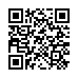 Lightning QR Code